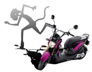 เฉดสีและราคา HONDA Zoomer X 2014