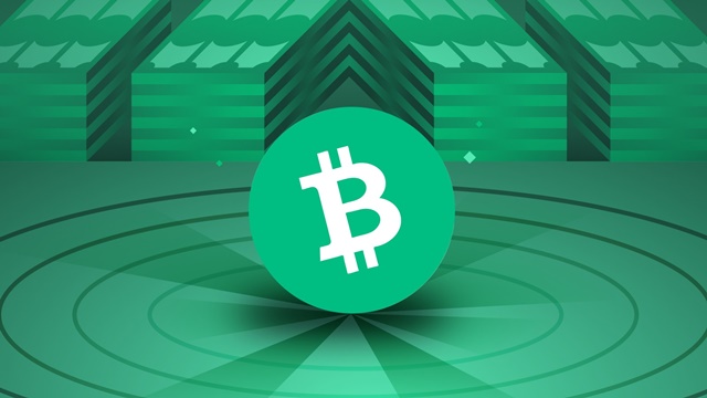 Bitcoin Cash (BCH) คืออะไร วิธีเก็บ Bitcoin Cash ให้ปลอดภัย