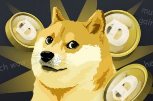 Dogecoin คืออะไร สามารถทำอะไรได้บ้าง