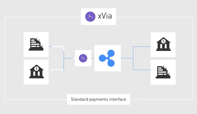 Ripple (XRP) คืออะไร น่าสนใจตรงไหน