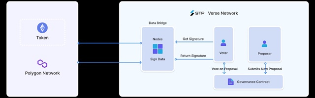 STP (STPT) คืออะไร ทำงานอย่างไร? 