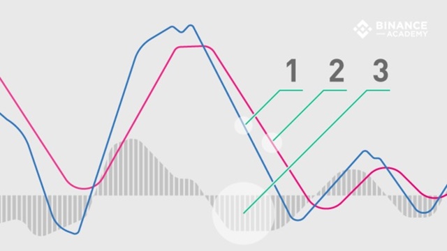 อธิบายตัวบ่งชี้ MACD วิธีอ่านแผนภูมิ MACD เพื่อวิเคราะห์ทางเทคนิค